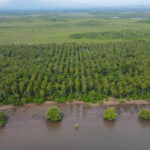 Terreno en Bahía de Jiquilisco, Usulután