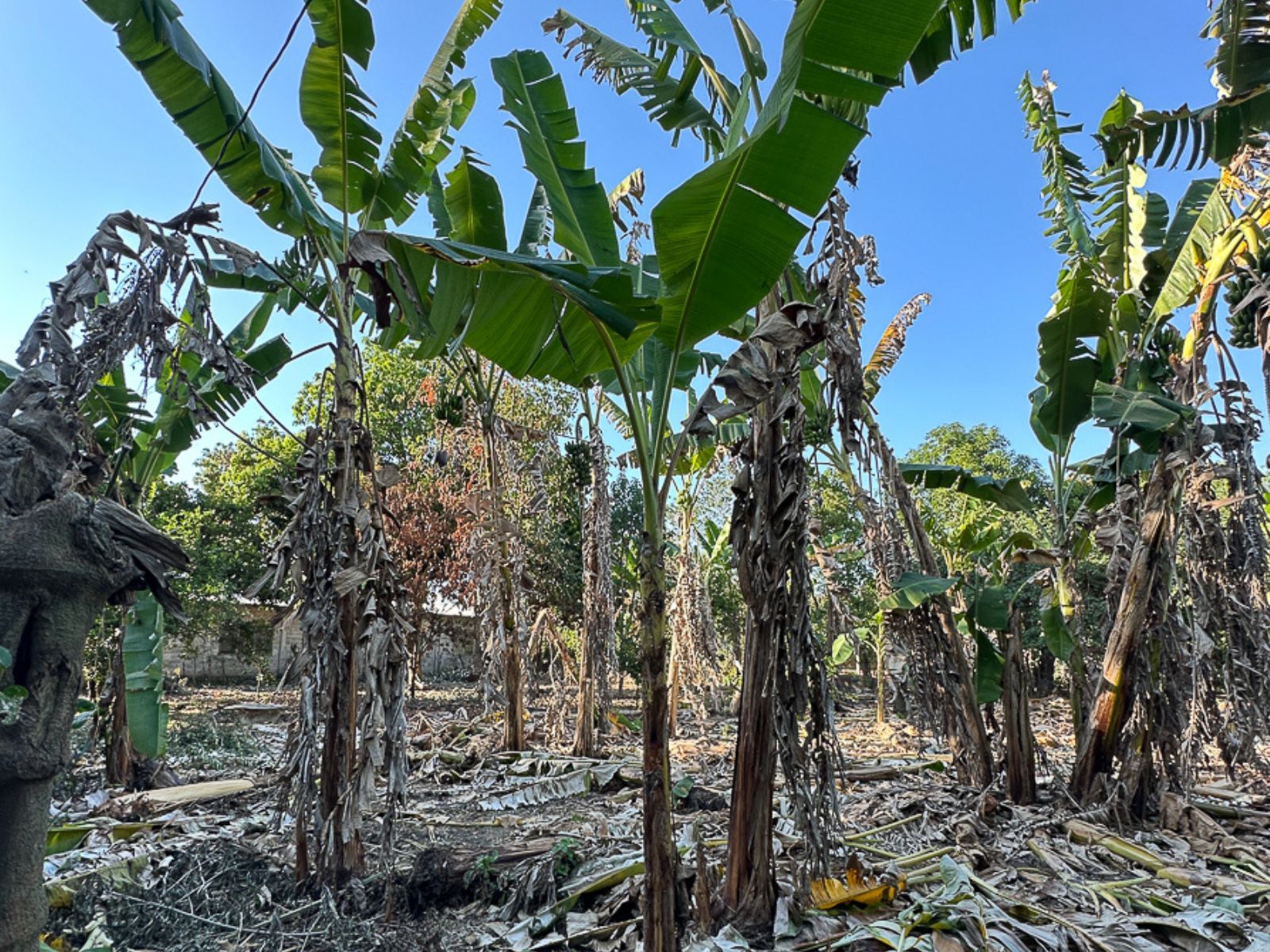 DT815-4 TERRENO EN AGUILARES, SAN SALVADOR