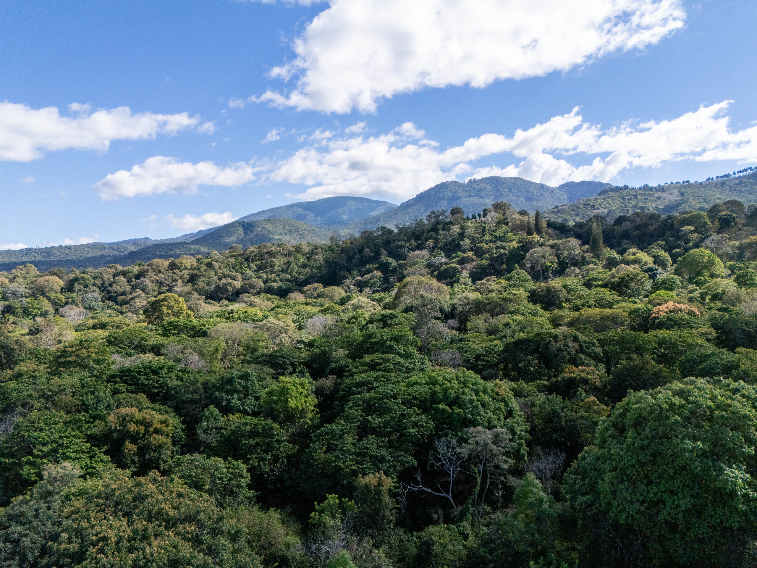 TERRENOS EN QUINTAS ECOLÓGICAS SAN PEDRO, CARRETERA A LOS NARANJOS