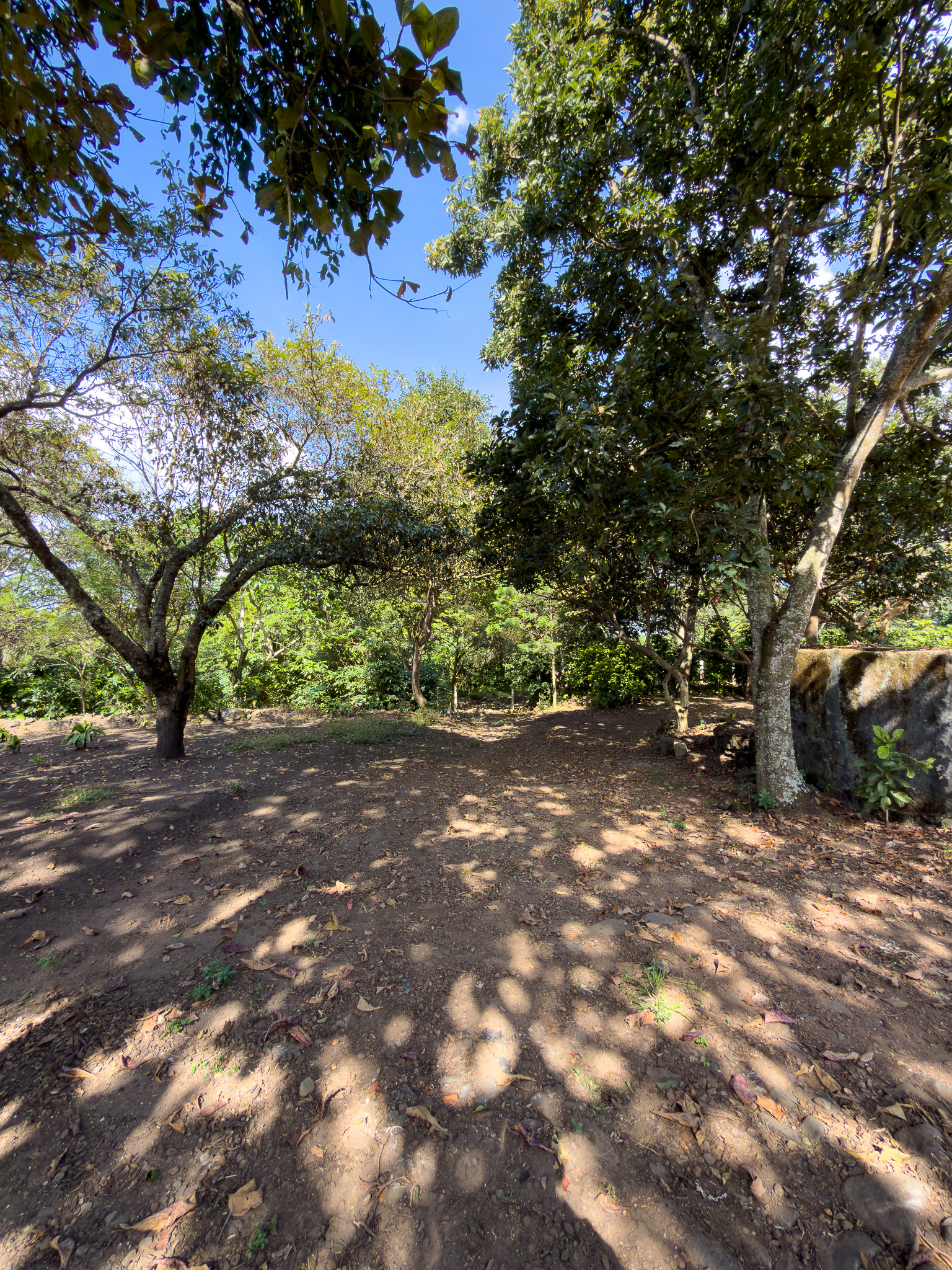 TERRENOS EN QUINTAS ECOLÓGICAS SAN PEDRO, CARRETERA A LOS NARANJOS