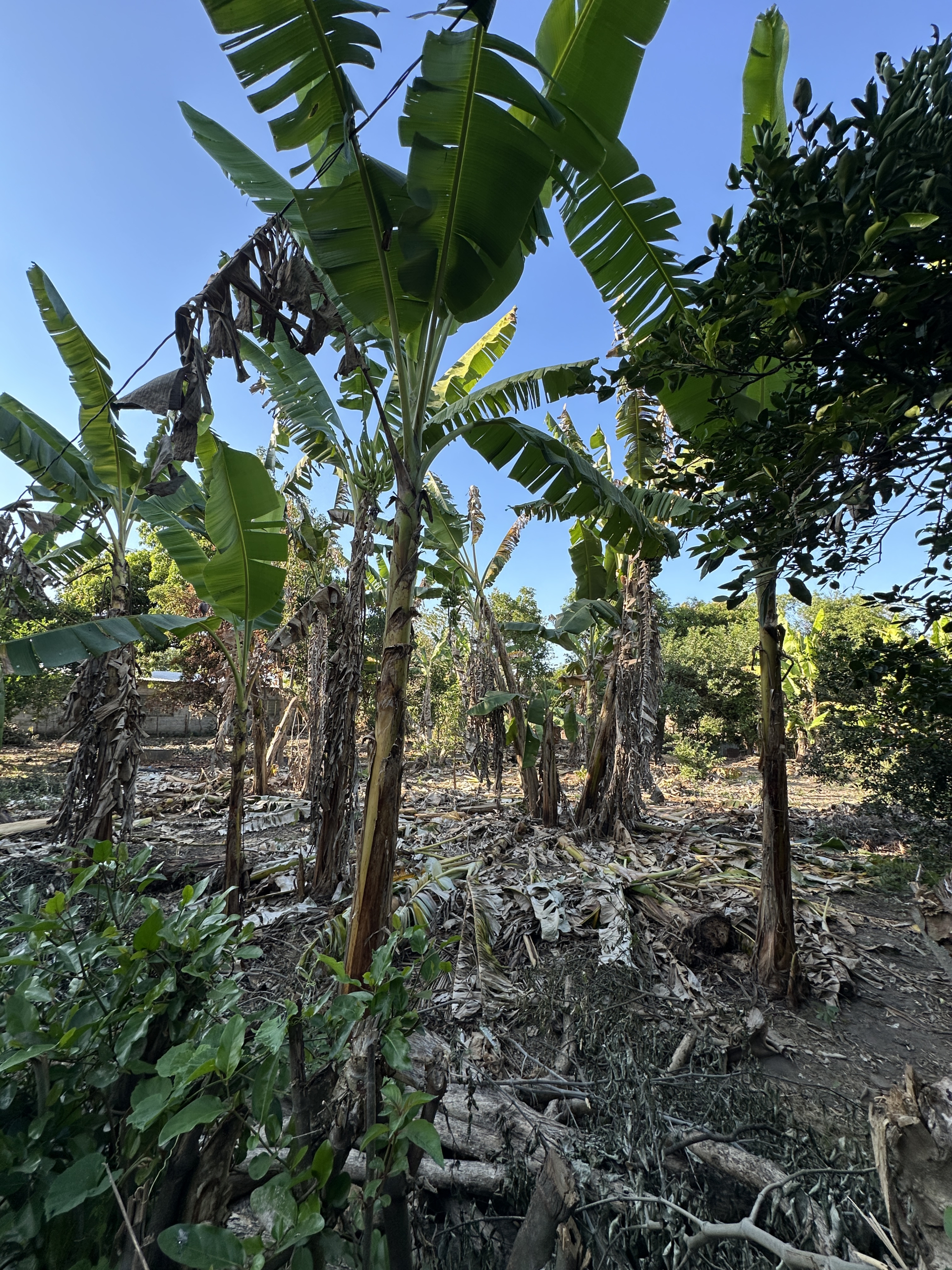 TERRENO EN AGUILARES, SAN SALVADOR