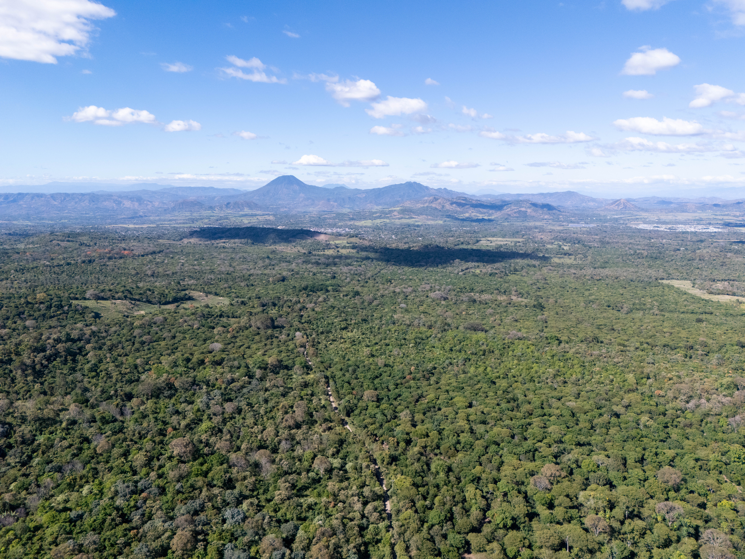 TERRENOS EN QUINTAS ECOLÓGICAS SAN PEDRO, CARRETERA A LOS NARANJOS