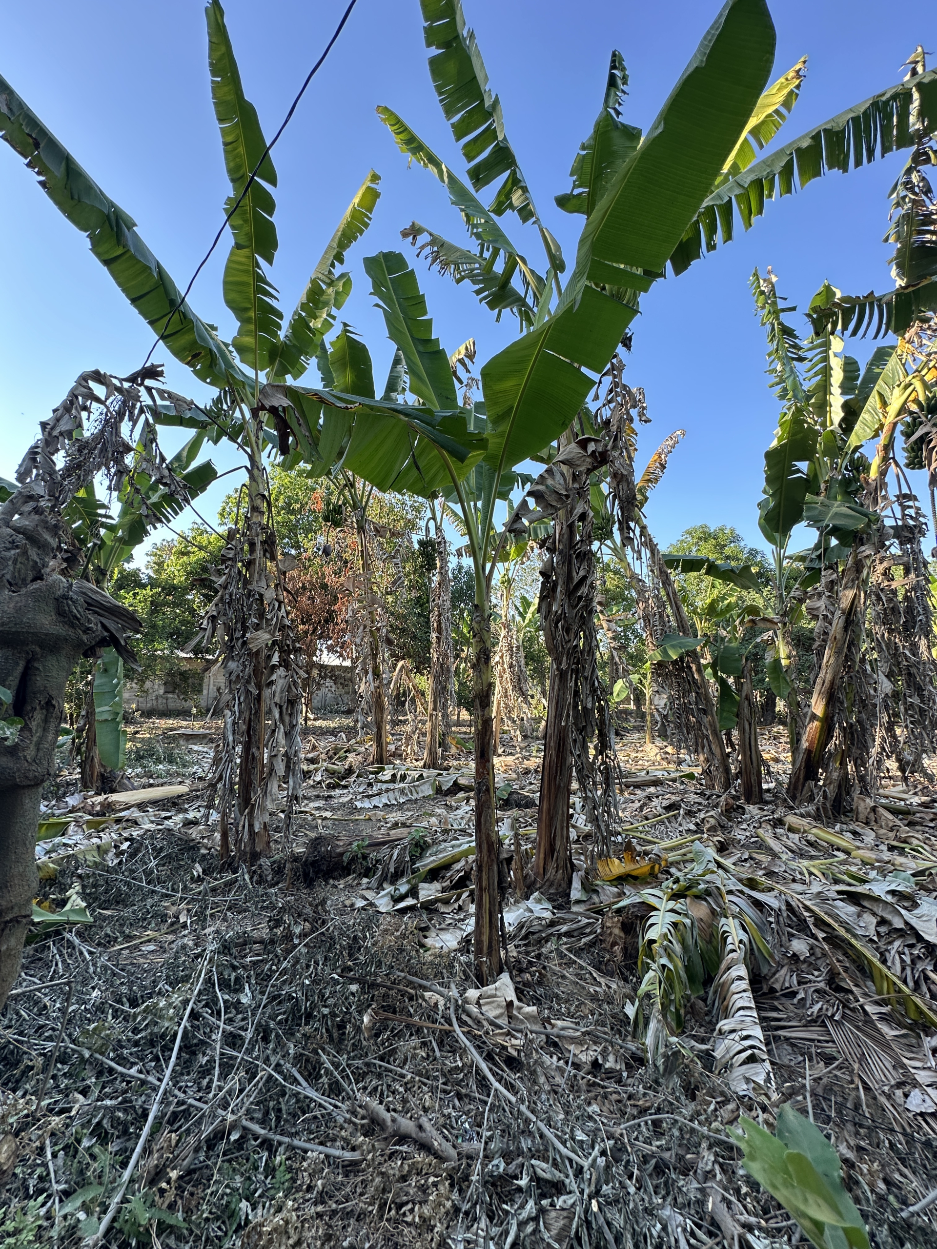 TERRENO EN AGUILARES, SAN SALVADOR