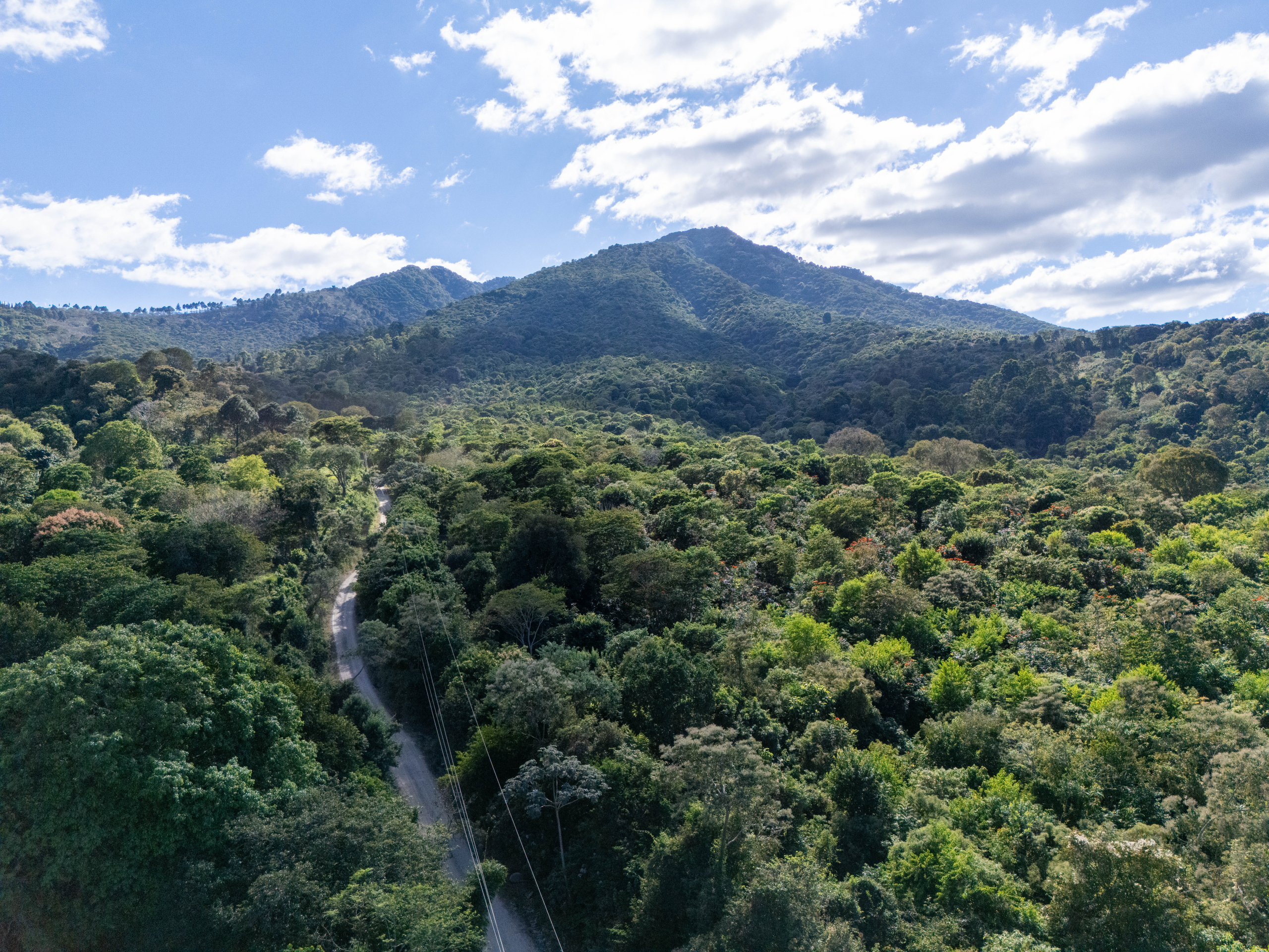 TERRENOS EN QUINTAS ECOLÓGICAS SAN PEDRO, CARRETERA A LOS NARANJOS