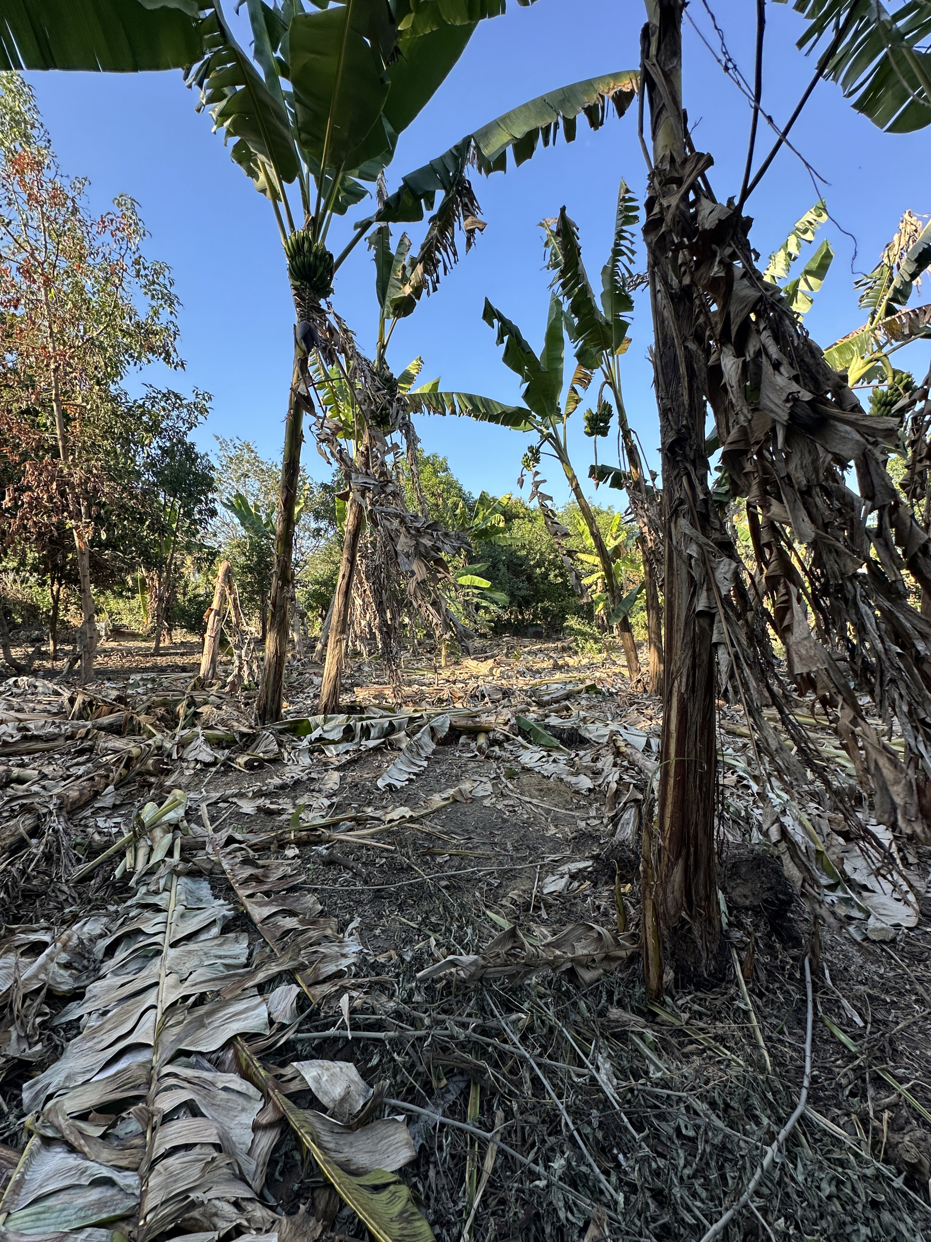 TERRENO EN AGUILARES, SAN SALVADOR