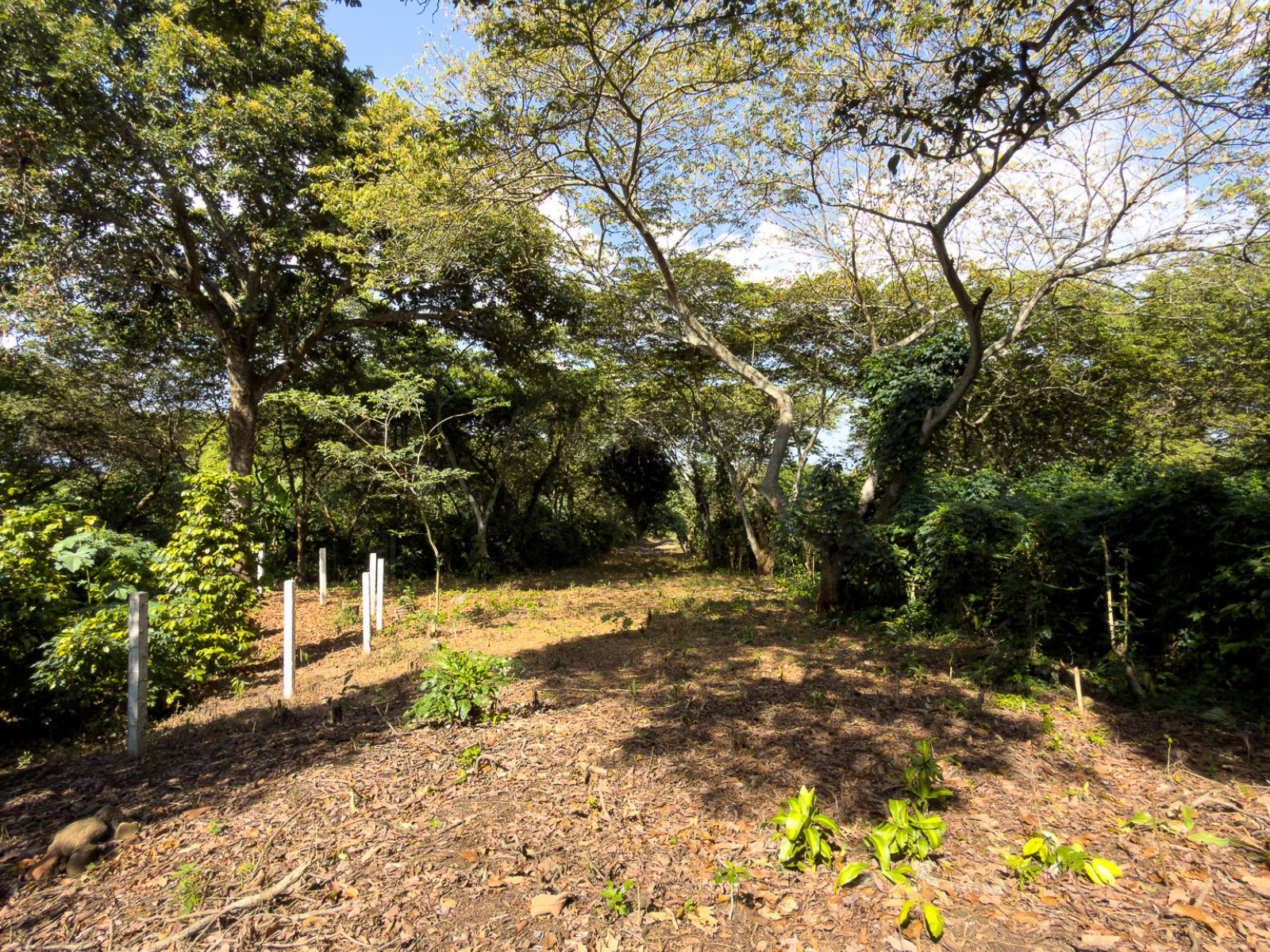 DT706-14 TERRENOS EN QUINTAS ECOLÓGICAS SAN PEDRO, CARRETERA A LOS NARANJOS