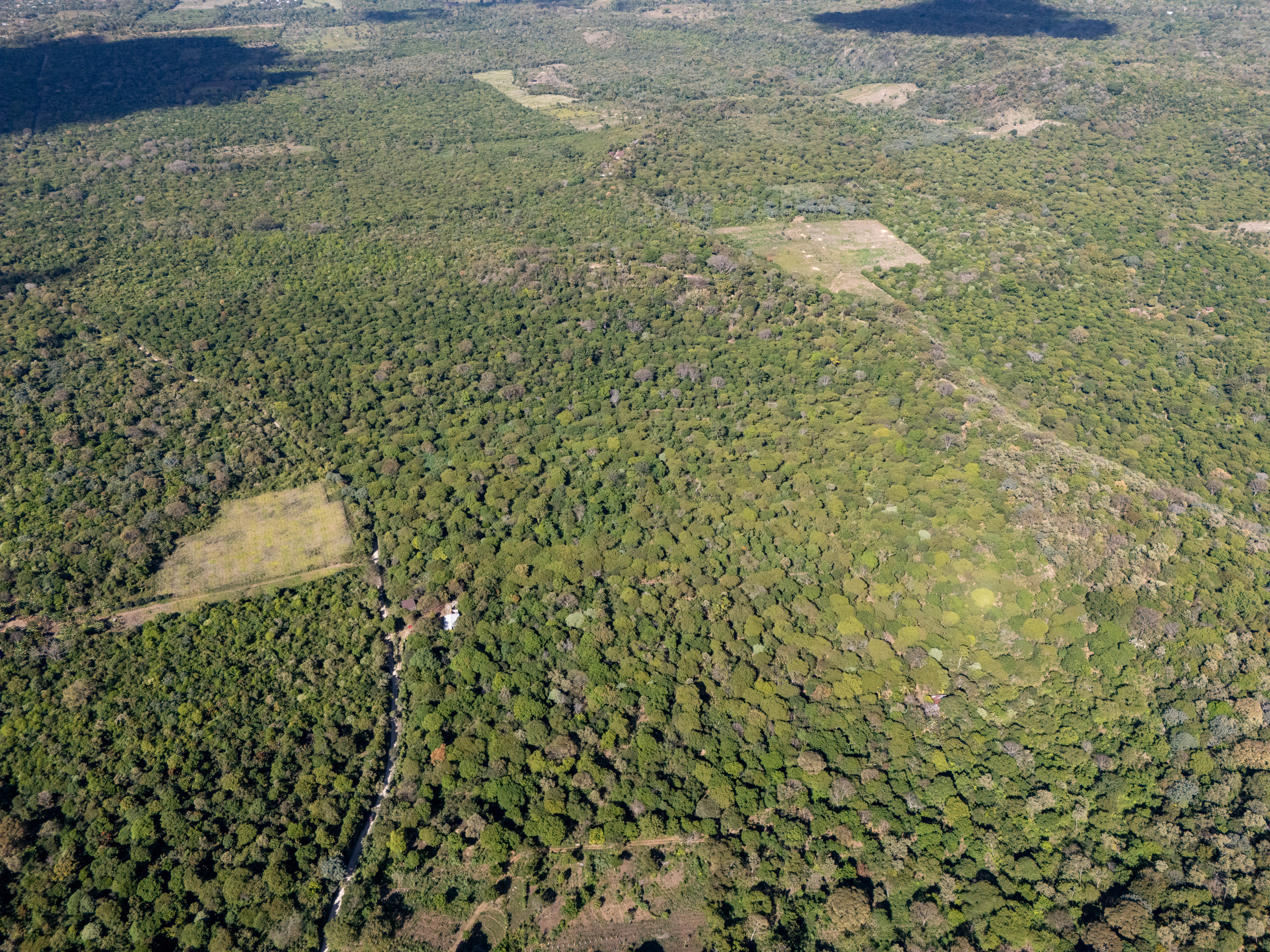 TERRENOS EN QUINTAS ECOLÓGICAS SAN PEDRO, CARRETERA A LOS NARANJOS