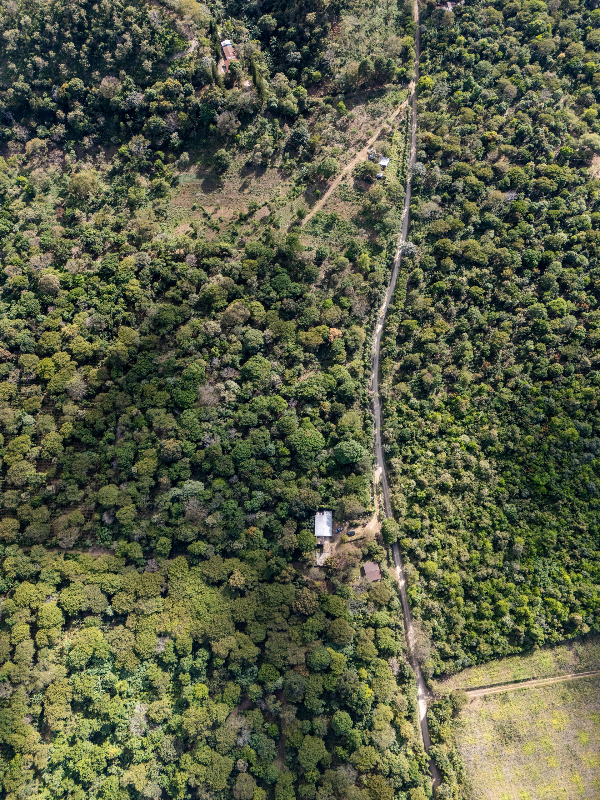 TERRENOS EN QUINTAS ECOLÓGICAS SAN PEDRO, CARRETERA A LOS NARANJOS