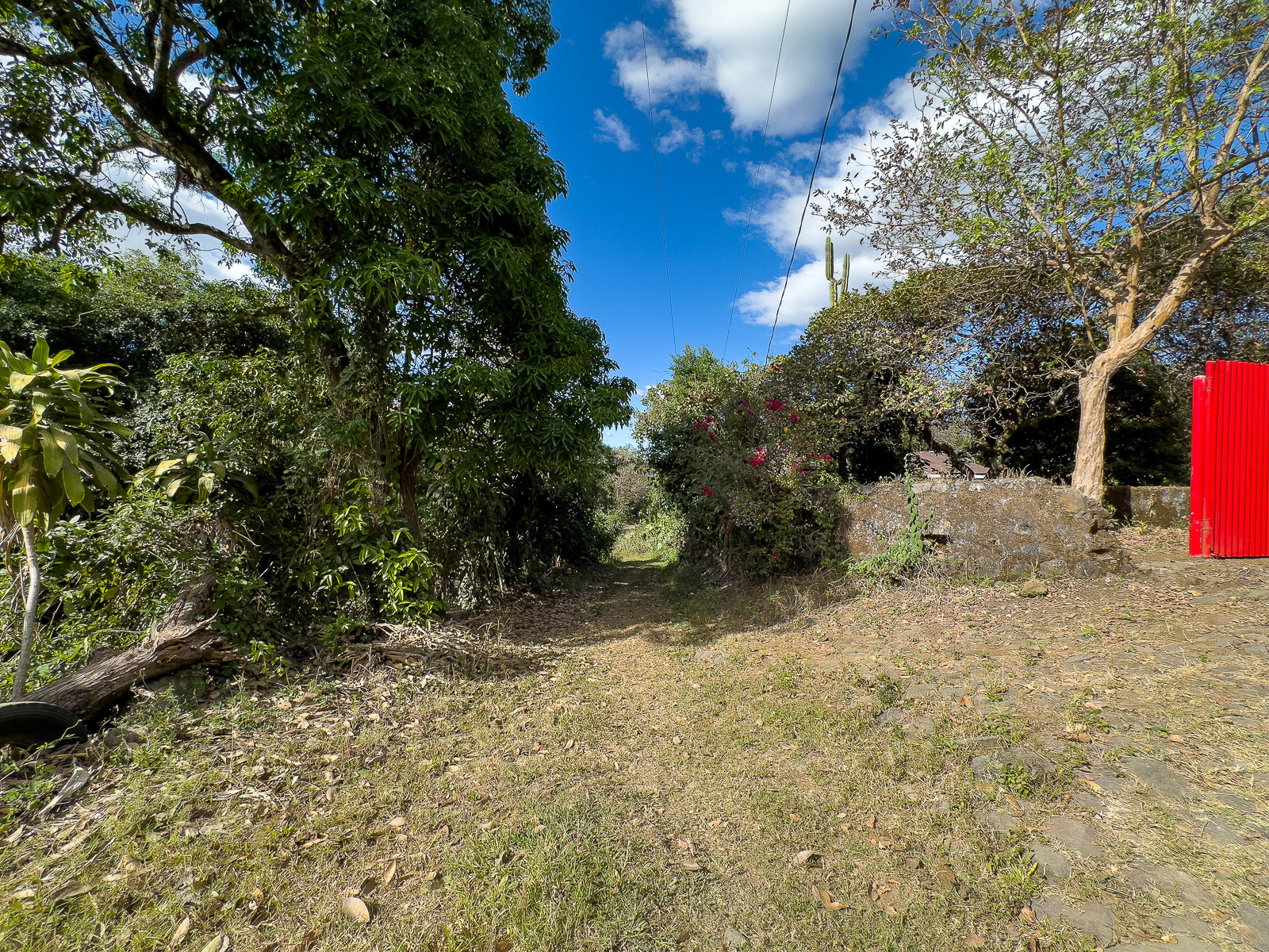DT706-6 TERRENOS EN QUINTAS ECOLÓGICAS SAN PEDRO, CARRETERA A LOS NARANJOS