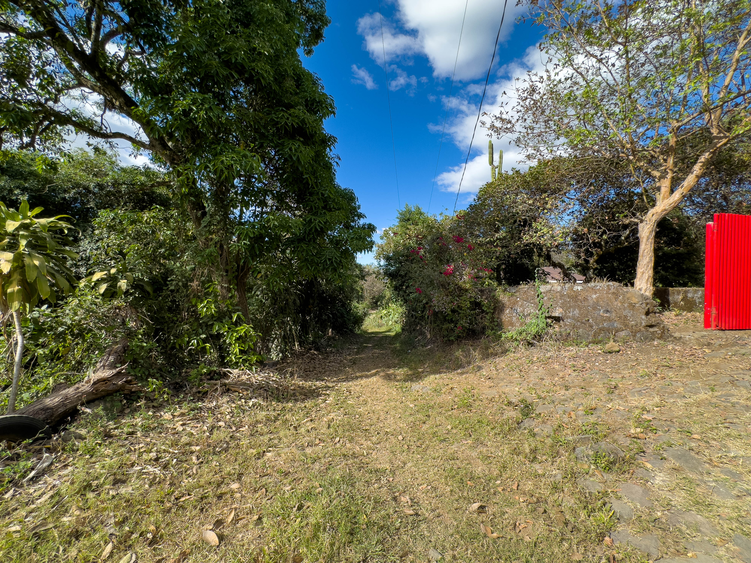 TERRENOS EN QUINTAS ECOLÓGICAS SAN PEDRO, CARRETERA A LOS NARANJOS