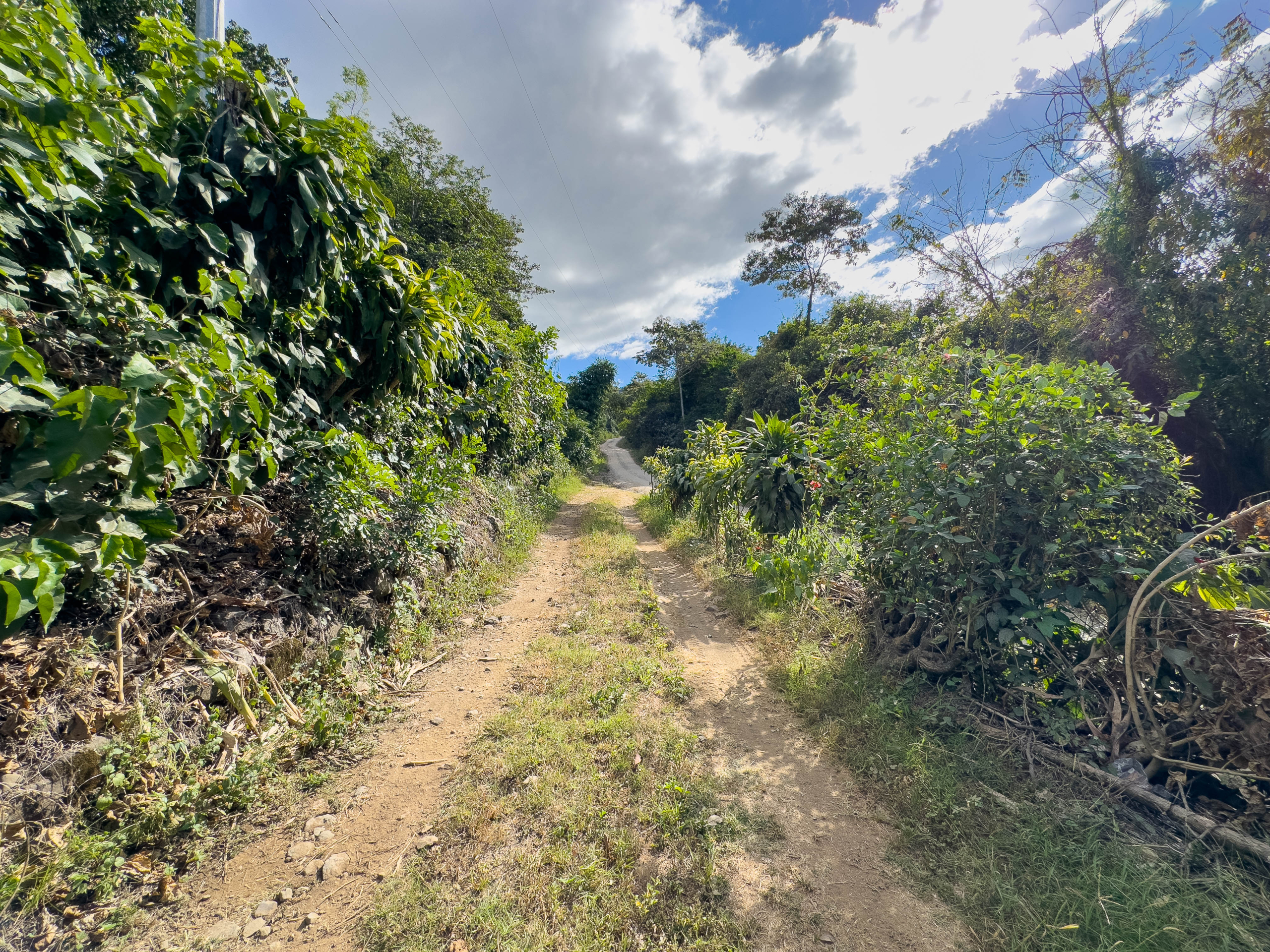 TERRENOS EN QUINTAS ECOLÓGICAS SAN PEDRO, CARRETERA A LOS NARANJOS