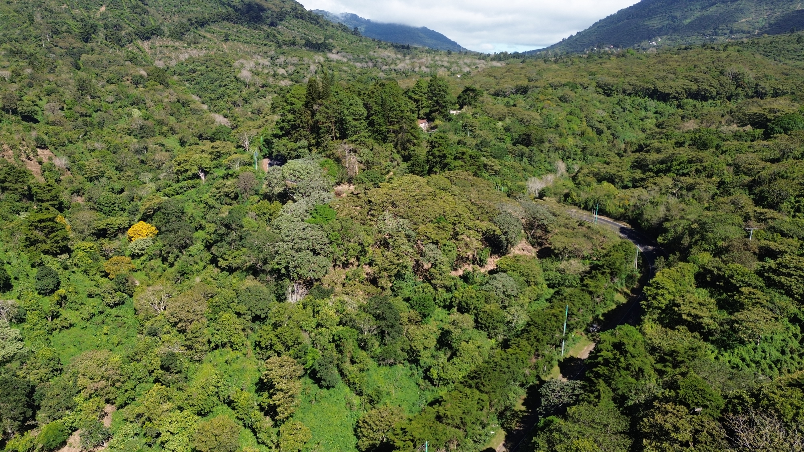 TERRENO DE 7,684 V2 CON PROYECTO DE PLAZA COMERCIAL EN LOS NARANJOS, SONSONATE