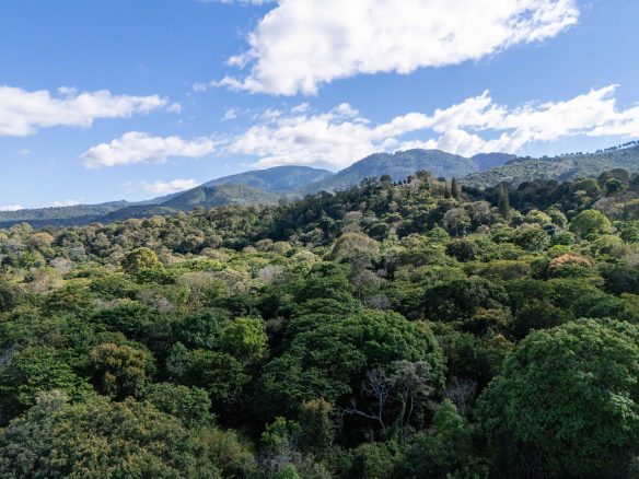 TERRENOS EN QUINTAS ECOLÓGICAS SAN PEDRO, CARRETERA A LOS NARANJOS