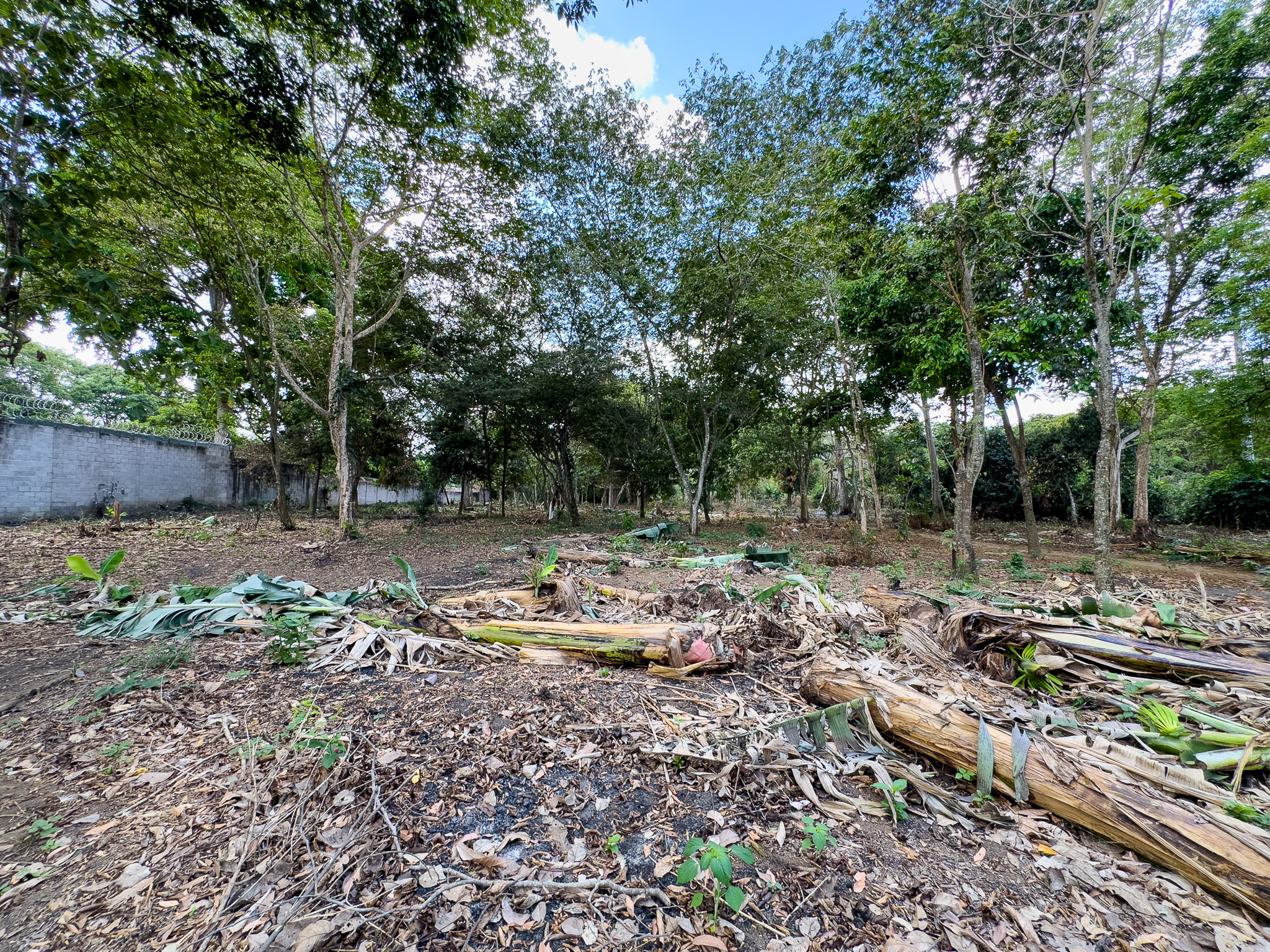 TERRENO EN SANTA ANA, CON ALTA EXPOSICIÓN COMERCIAL