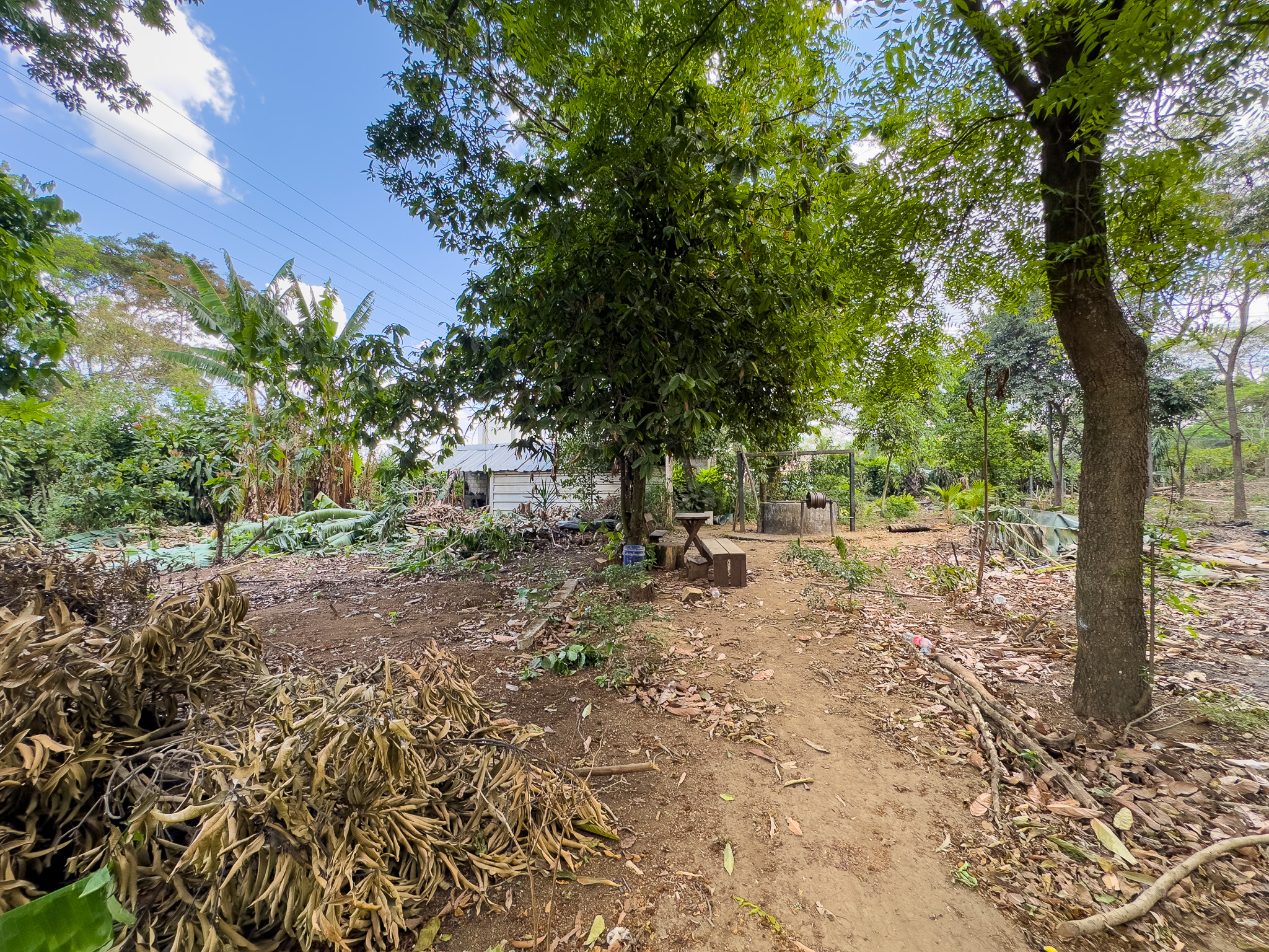 TERRENO EN SANTA ANA, CON ALTA EXPOSICIÓN COMERCIAL