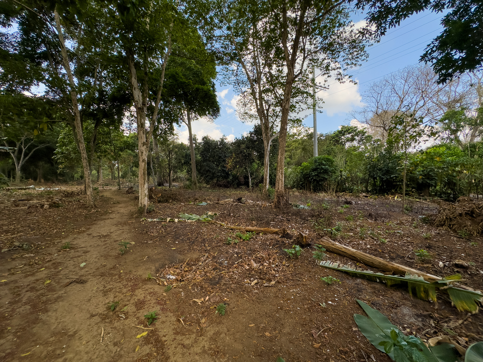 TERRENO EN SANTA ANA, CON ALTA EXPOSICIÓN COMERCIAL
