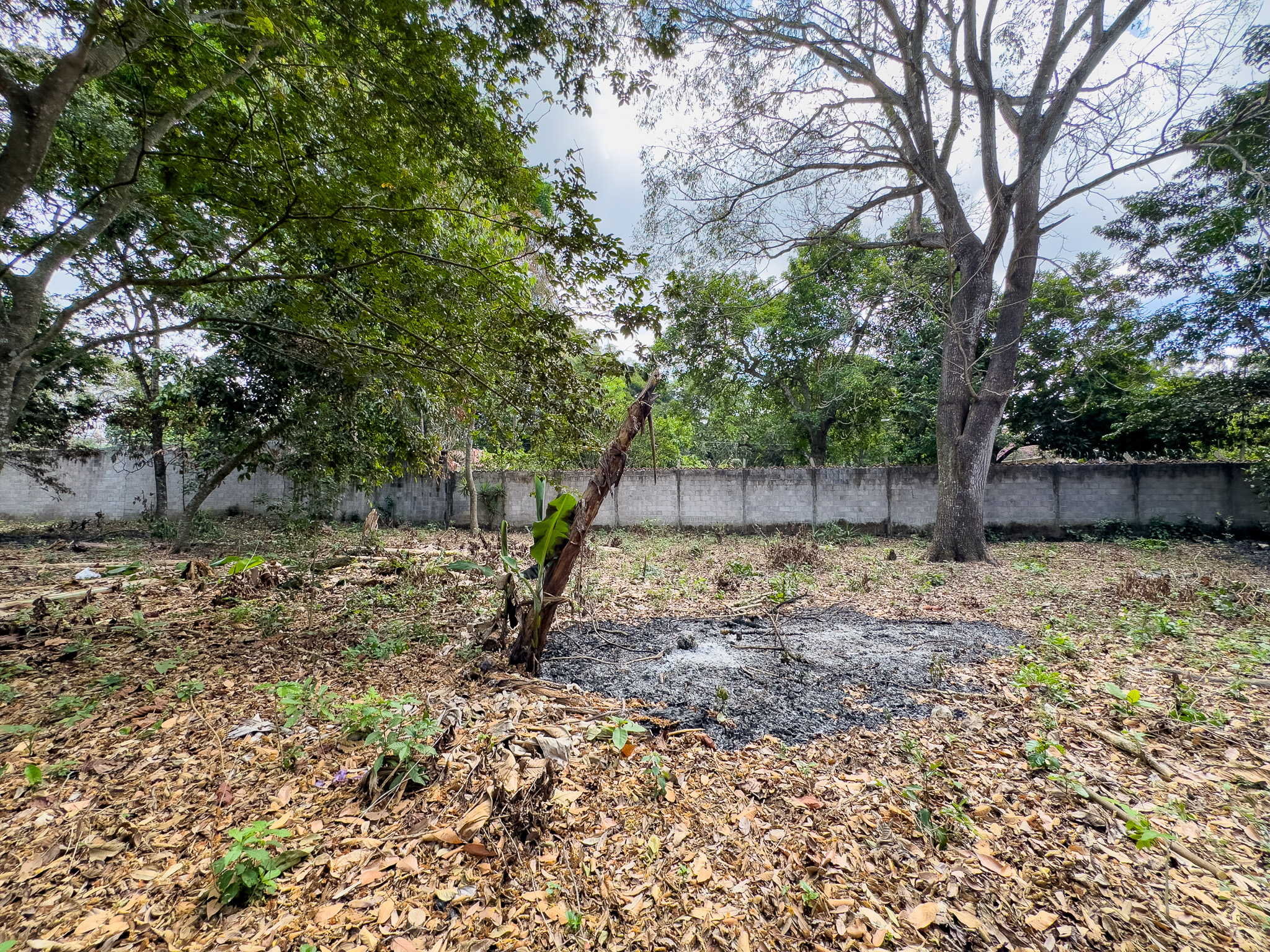 TERRENO EN SANTA ANA, CON ALTA EXPOSICIÓN COMERCIAL