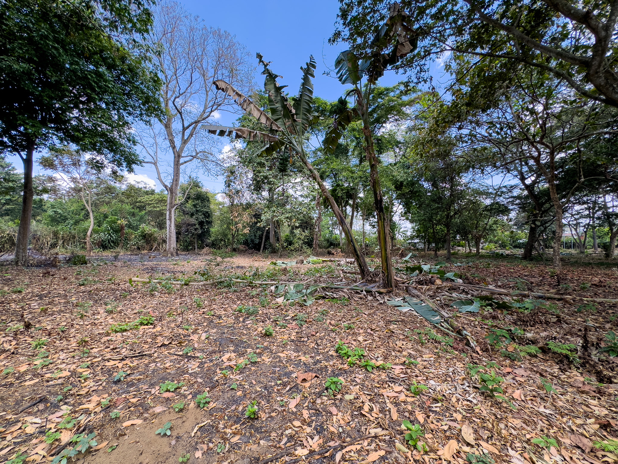 TERRENO EN SANTA ANA, CON ALTA EXPOSICIÓN COMERCIAL