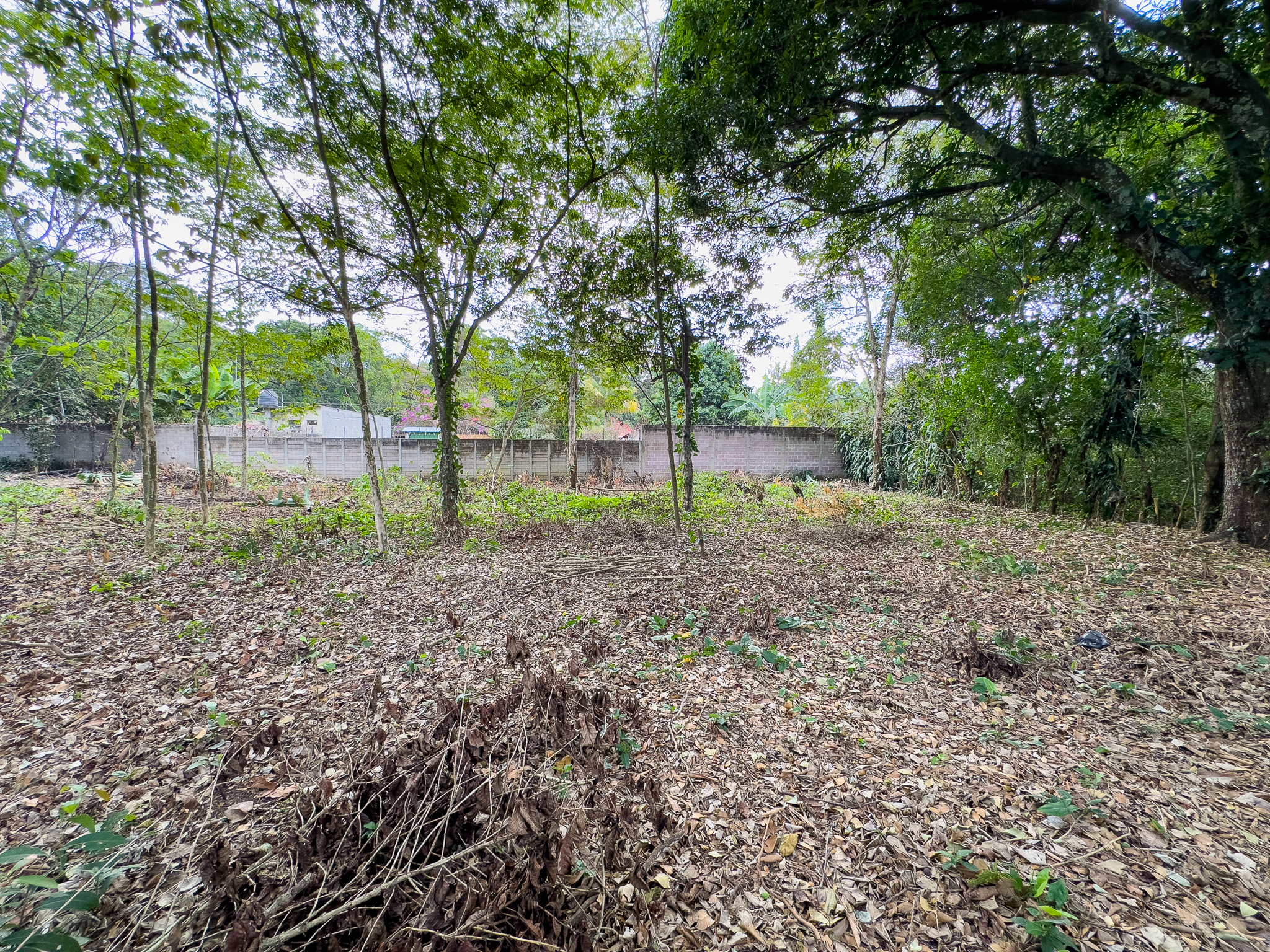 TERRENO EN SANTA ANA, CON ALTA EXPOSICIÓN COMERCIAL