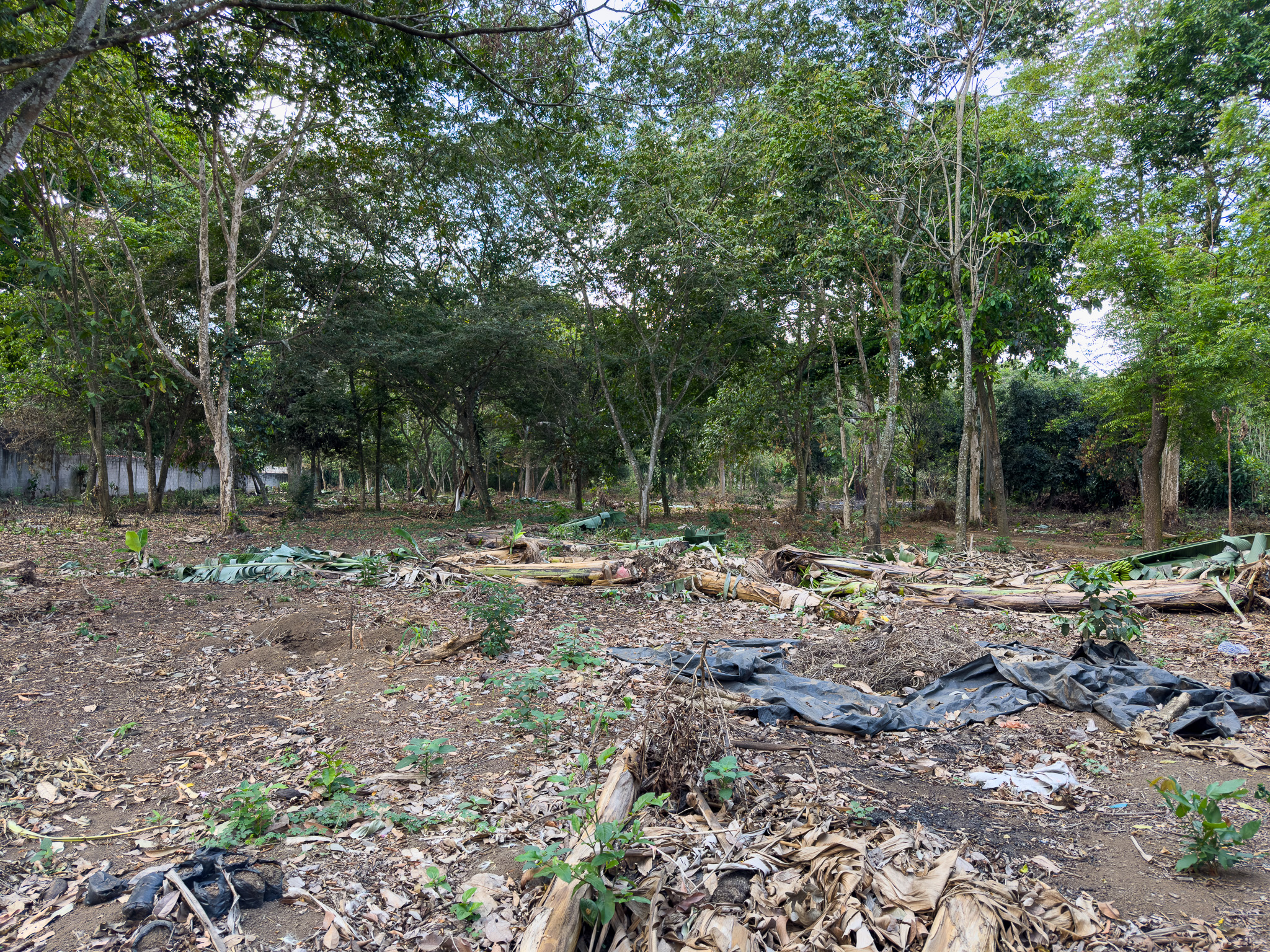 TERRENO EN SANTA ANA, CON ALTA EXPOSICIÓN COMERCIAL