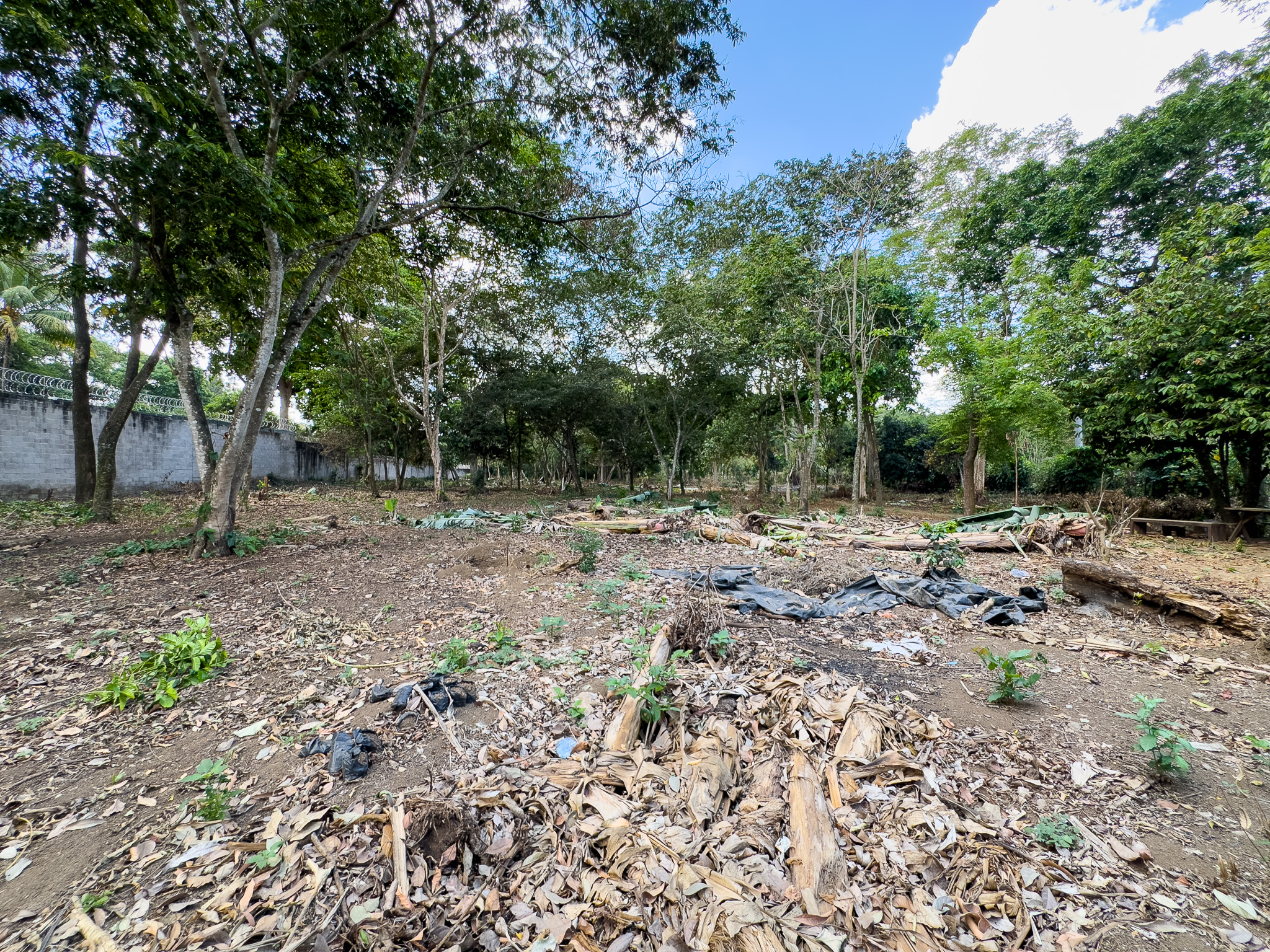 TERRENO EN SANTA ANA, CON ALTA EXPOSICIÓN COMERCIAL