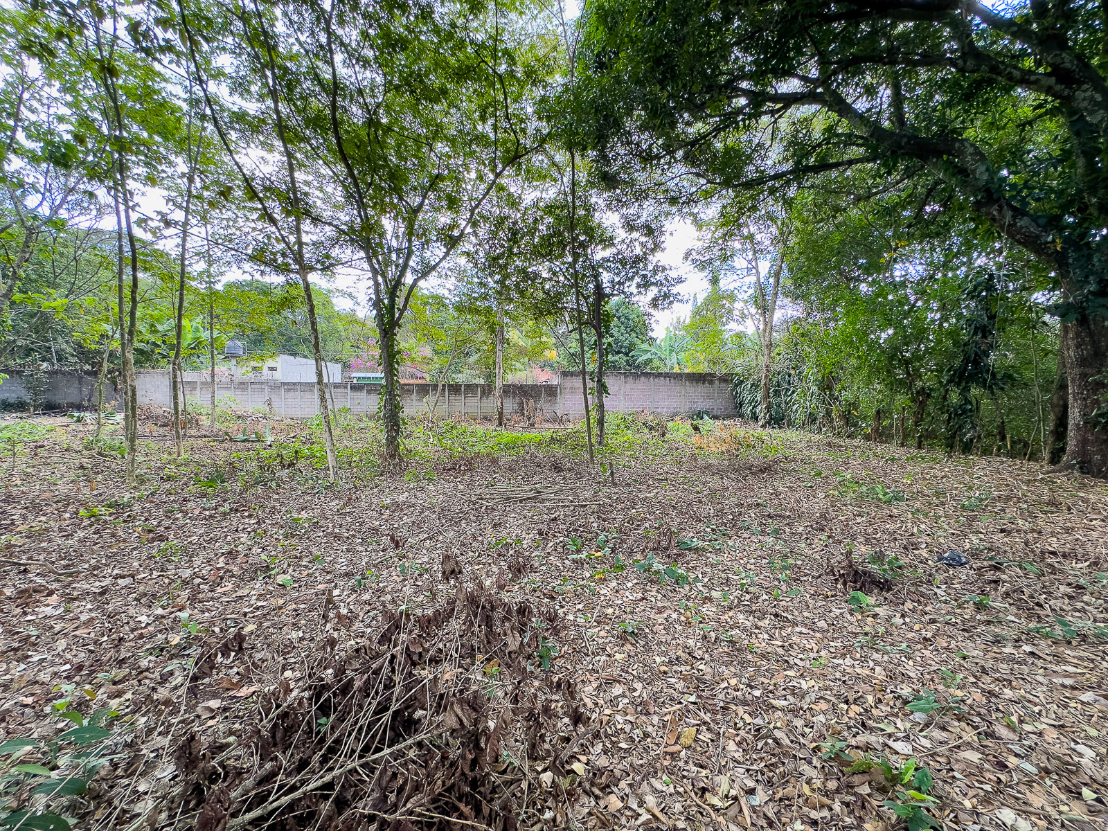 DT611-16 TERRENO EN SANTA ANA, CON ALTA EXPOSICIÓN COMERCIAL