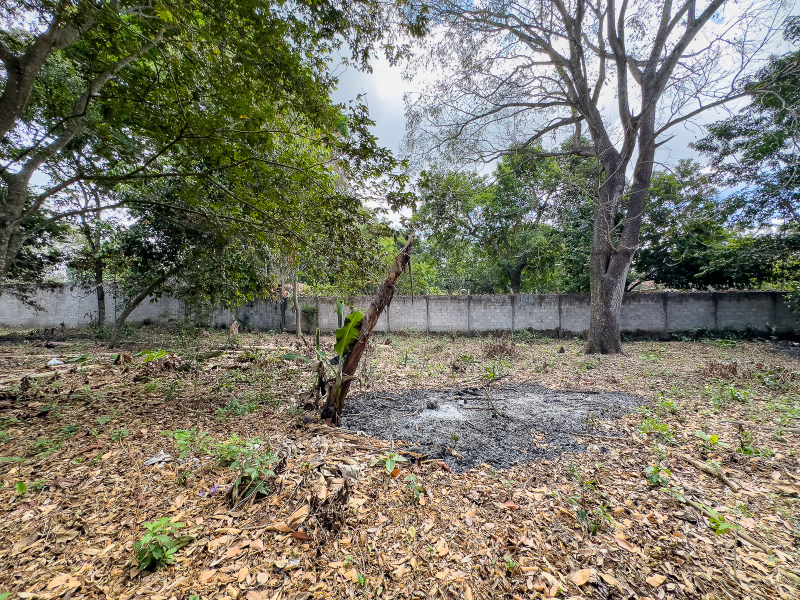 DT611-14 TERRENO EN SANTA ANA, CON ALTA EXPOSICIÓN COMERCIAL