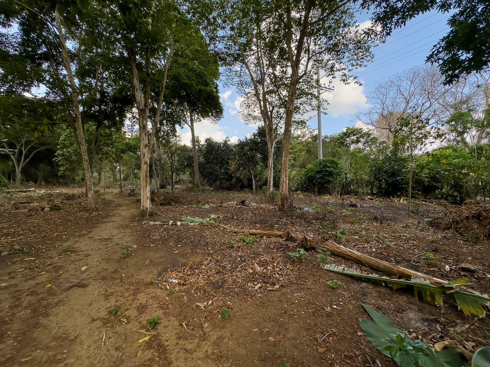 DAT795-13 TERRENO EN SANTA ANA, CON ALTA EXPOSICIÓN COMERCIAL