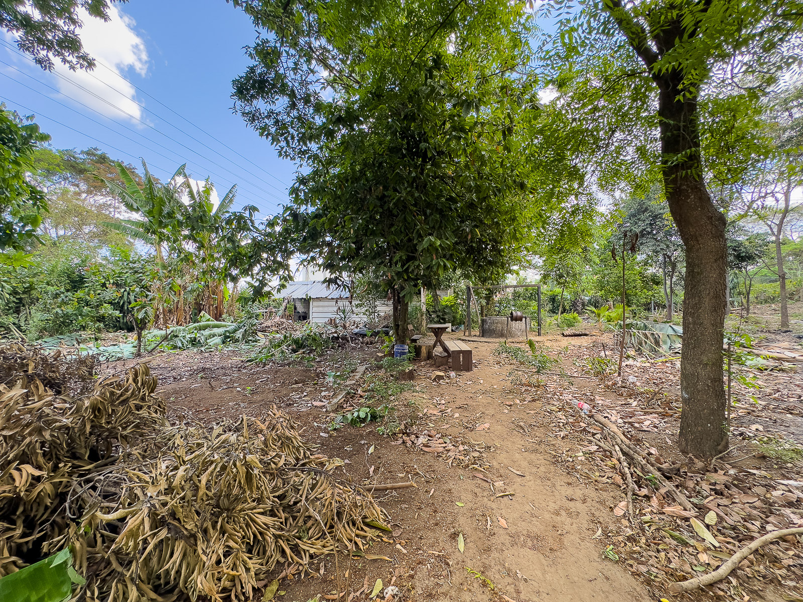 DAT795-12 TERRENO EN SANTA ANA, CON ALTA EXPOSICIÓN COMERCIAL