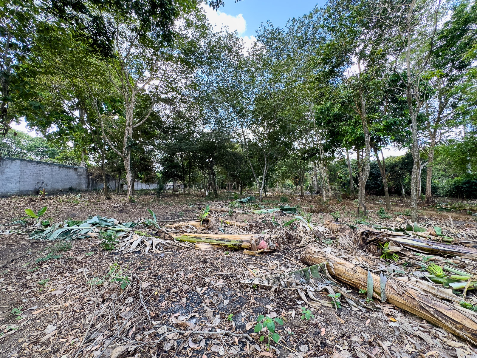 DAT795-11 TERRENO EN SANTA ANA, CON ALTA EXPOSICIÓN COMERCIAL