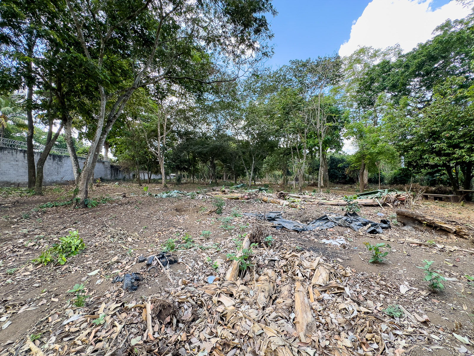 DT611-10 TERRENO EN SANTA ANA, CON ALTA EXPOSICIÓN COMERCIAL
