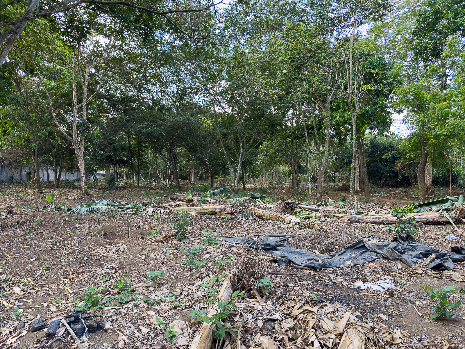 DAT795-9 TERRENO EN SANTA ANA, CON ALTA EXPOSICIÓN COMERCIAL