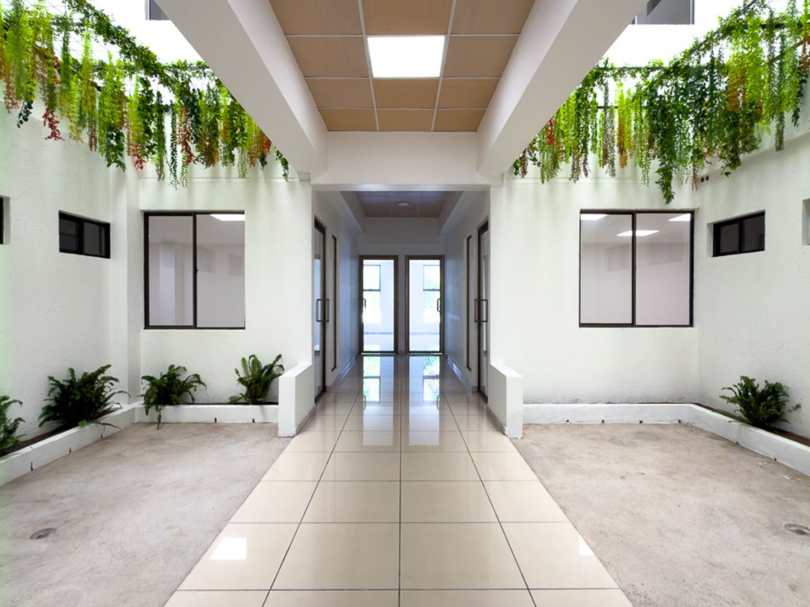 DAO840-1 OFICINAS EN PLAZA TRIANA – LA MASCOTA, SAN SALVADOR
