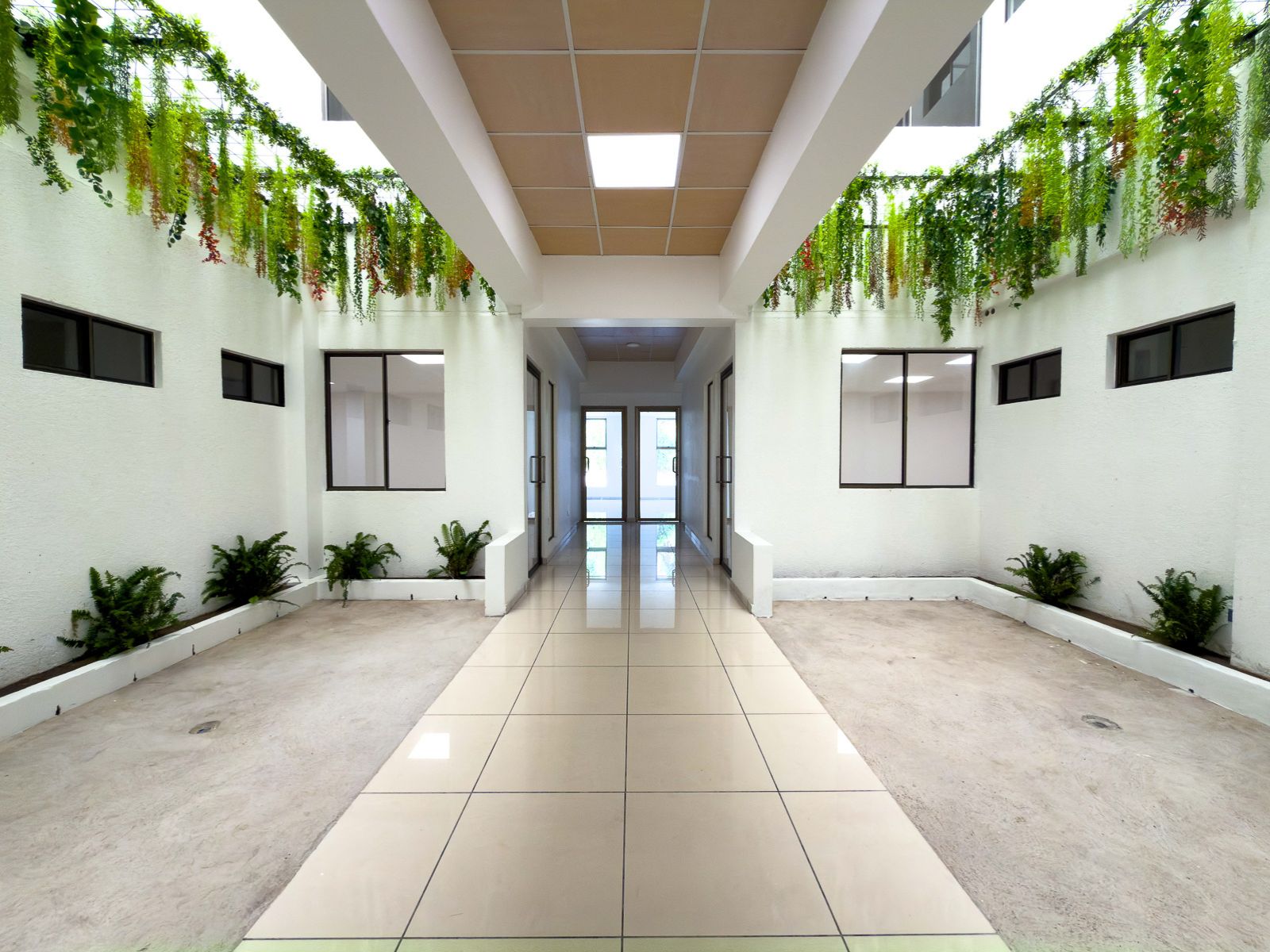DAO840-2 OFICINAS EN PLAZA TRIANA – LA MASCOTA, SAN SALVADOR
