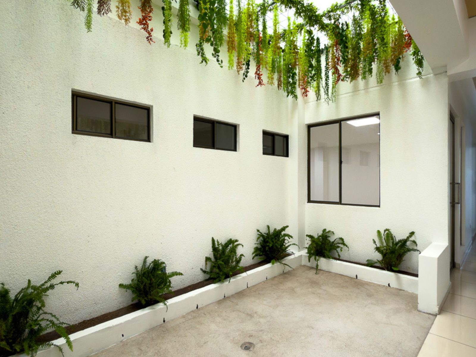 DAO840-4 OFICINAS EN PLAZA TRIANA – LA MASCOTA, SAN SALVADOR