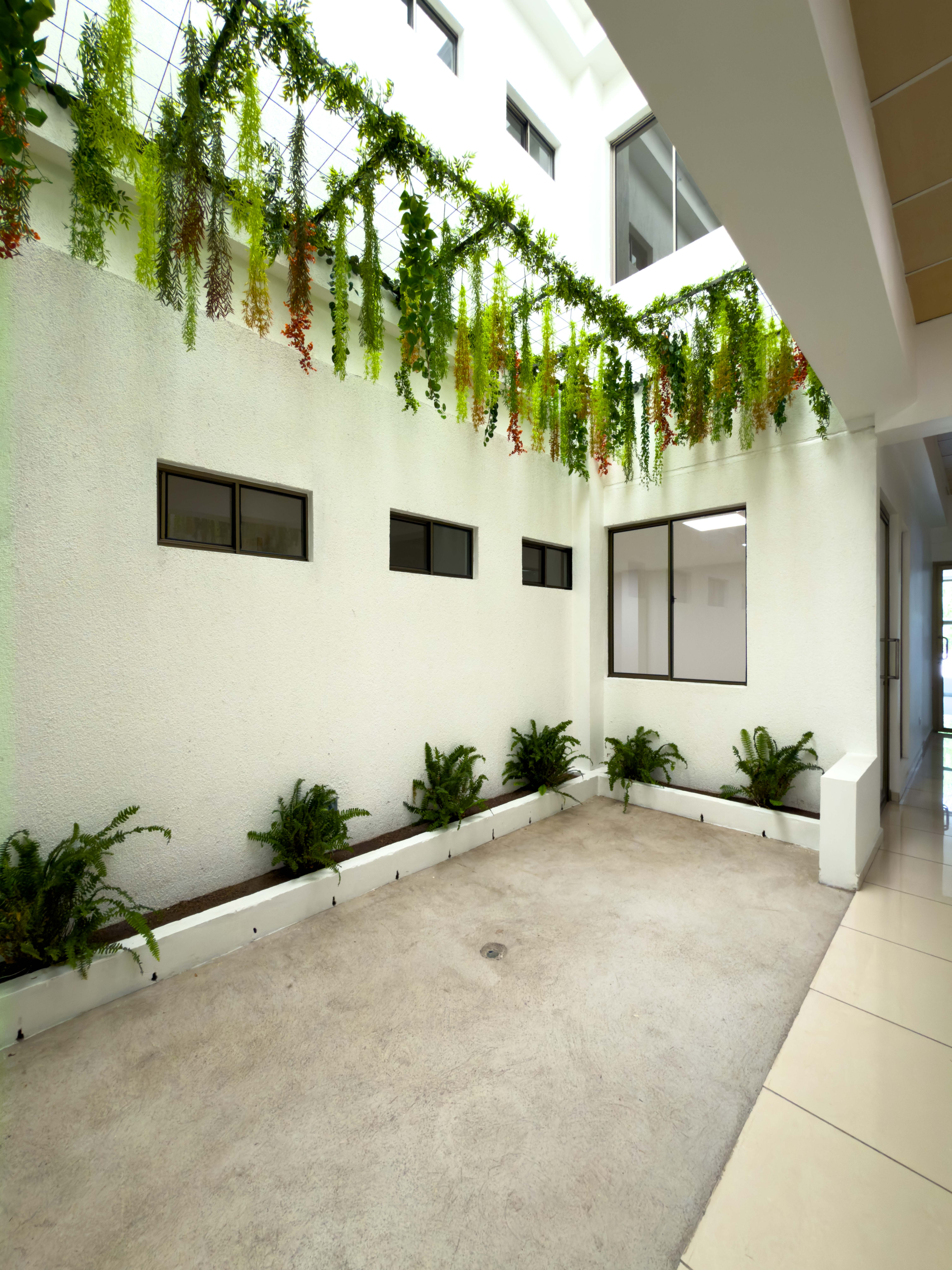 OFICINAS EN PLAZA TRIANA – LA MASCOTA, SAN SALVADOR
