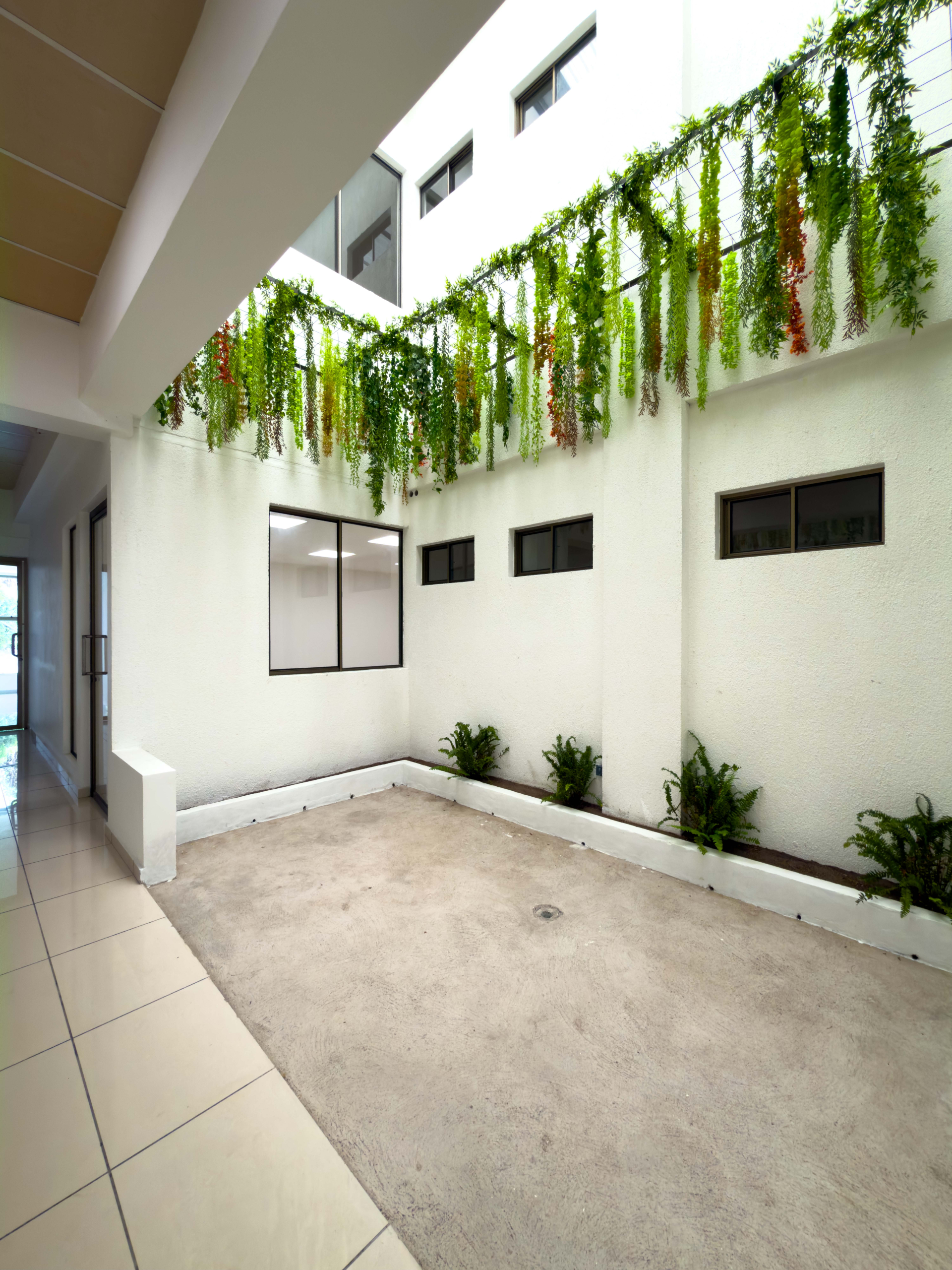 OFICINAS EN PLAZA TRIANA – LA MASCOTA, SAN SALVADOR