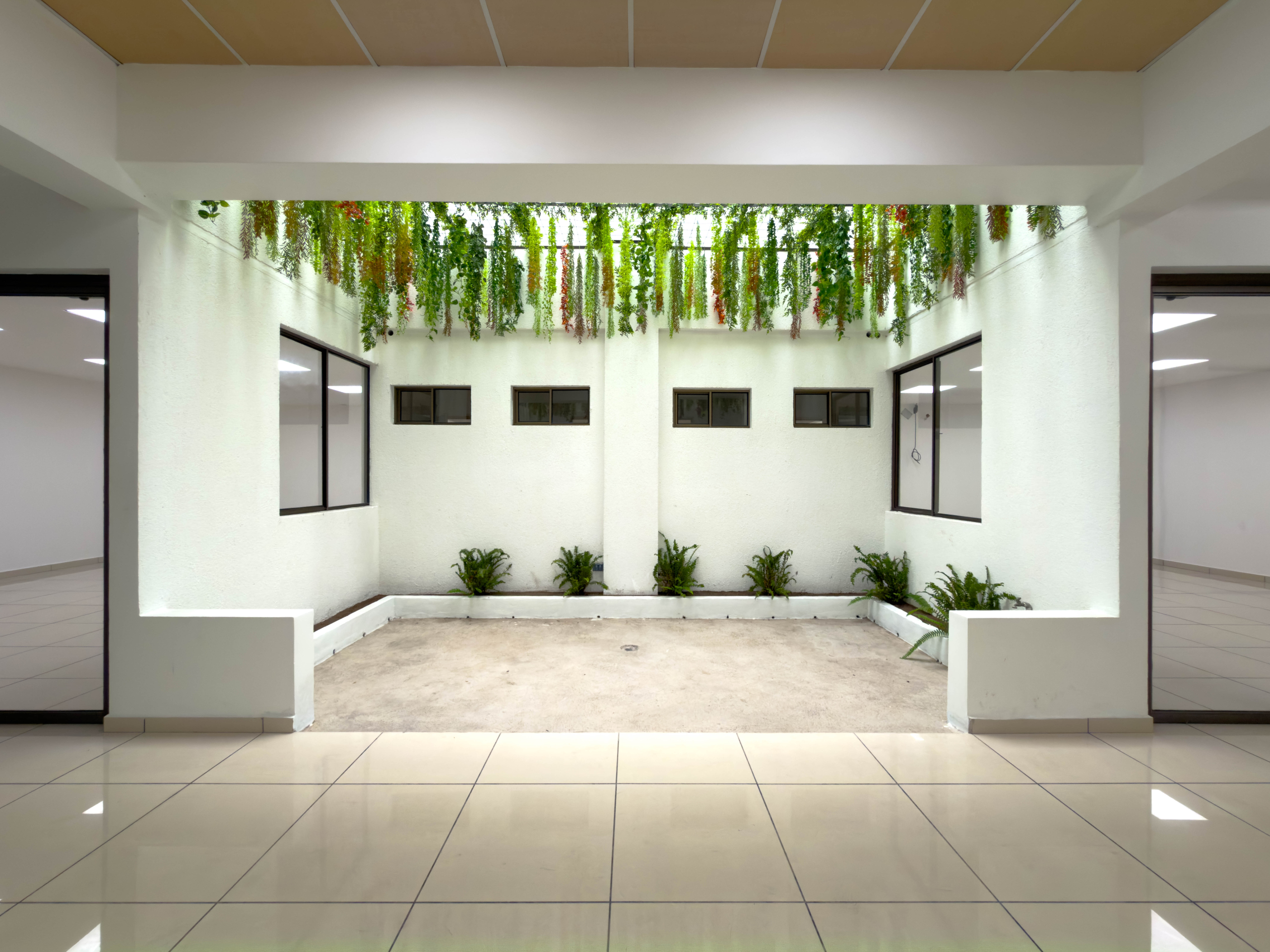 OFICINAS EN PLAZA TRIANA – LA MASCOTA, SAN SALVADOR