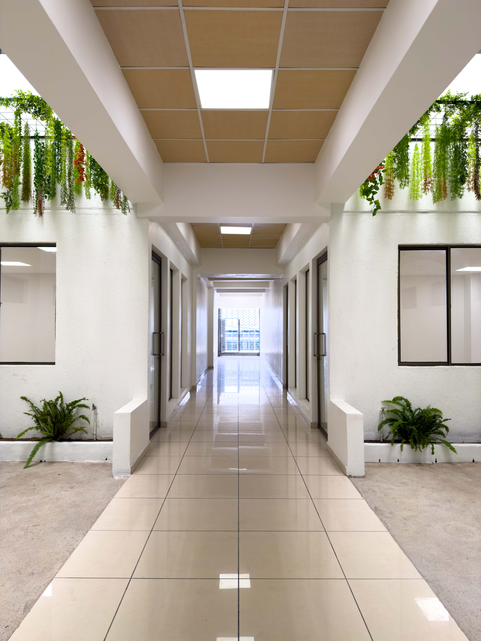 OFICINAS EN PLAZA TRIANA – LA MASCOTA, SAN SALVADOR