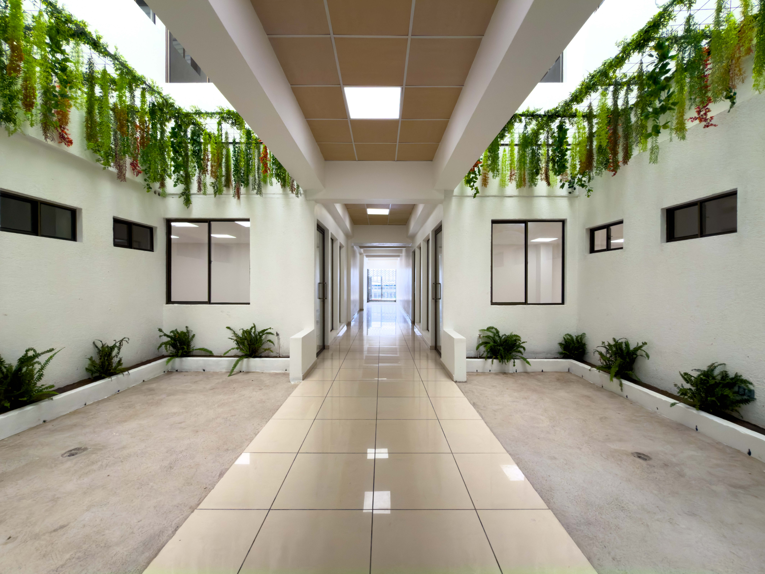 OFICINAS EN PLAZA TRIANA – LA MASCOTA, SAN SALVADOR