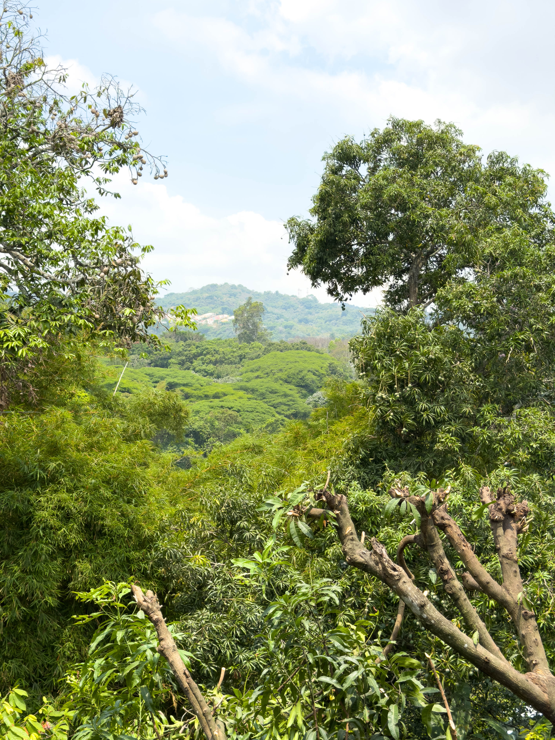 CASA RESIDENCIAL EN BOSQUES DE LA CASTELLANA, CARRETERA A PLANES DE RENDEROS, SAN SALVADOR